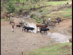 Quanto è grande l'Africa, terra di siccità i enormi fiumi: Nilo, Zambesi, Congo, Niger... Nei grandi laghi africani Tedeschi e francesi si scontrarono in piccole, ma vere battaglie navali...
