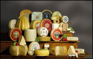 I formaggi come i salumi e soprattutto i vini, sono per qualità e varietà una forza dell'Italia