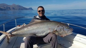 Ricciola da 50 Kg a Castellammare 03 marzo 2017 Ma in questi anni il cefaludese Charly Marsala ne ha pescato una più grossa alle Eolie. Il mare si spopola? "I tonni stanno per saltare dentro i porti": esclamazione di G.Tumbiolo presidente Distretto Mazara.