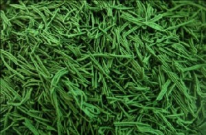 Spirulina alga commetibile fra le più note: sembrano fagiolini vero?