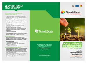 Einaudi-Pareto_trifolder_stampa