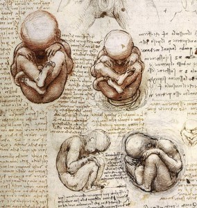 La posizione fetale fu al centro del grande interesse di Leonardo per l'anatomia, ce lo coinvolgeva come artista e come studioso. In alcuniìe opere si riscontra come posizione assunta nei momenti di sconforto...
