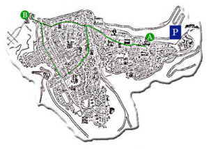 La pianta di Enna con il percorso della processione. L'evento religioso e folcloristico è stato inerito nel calendario di interesse Regionale ed è protetto dall'Unesco. Quello contrassegnato è il Duomo, partenza e arrivo della processione. L'evento porta ad Enna molte migliaia fra visitatori e turisti, guidati dal sentimento religioso e dallo spettacolo. Queste processioni sono contrassegnate da puntuali momenti di commozione.