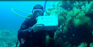 La posa della lapide che rivendica l'Isola sommersa all'Italia e alla Sicilia, ma il problema è fuori discussione.