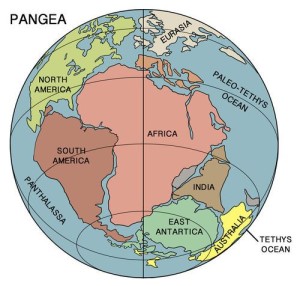 Una carta che esalta la reale grandezza dell'Africa, ma si tratta pur sempre di una "proiezione che non rispetta le reali proporzioni. L'uomo modermo, tuttavia, non ha che eccezionalmente l'idea fisica della grandezza di mari, continenti e del Pianeta. Gli spazi in cui effettivamente vive e la velocità raggiunta dai mezzi di trasporto lo ingannano. Ciò facilita i venditori di menzogne su clima, ecologia, problemi che rendono finché esistono, cifre enormi a chi lo contrabbanda...