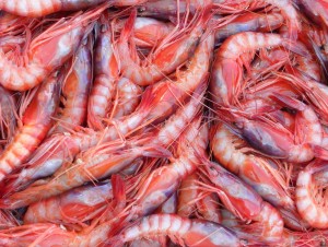 L'impareggiabile gambero rosso di Mazara resta uno dei protagonisti delle giornate dell'Expo...