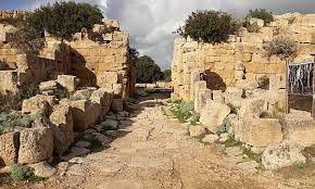 Selinunte etta la nuova Pompei