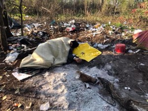 Lo chiamano "il boschetto della droga". Molti di questi squallidi luoghi sono la conclusione di una storia iniziata con ...le canne.