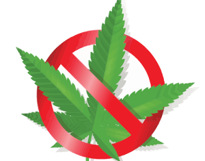 no alla cannabis coltivata liberamente proposta di legge Mantero (5St)