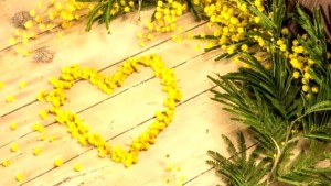 Mimose disposte a forma di cuore. Qui l'omaggio floreale non è un "mordi e fuggi": si riflette sulle peculiarità della "medicina" al femminile