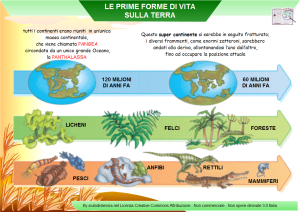 Le prime forme di vita, dai monocellulari ai pesci, agli anfibi, agli uccelli, ai mammiferi.