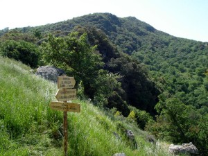 La Riserva Naturale di Bosco della Favara e Bosco Granza si estende in provincia di Palermo nei comuni di Aliminusa, Cerda, Sclafani Bagni e Montemaggiore Belsito.