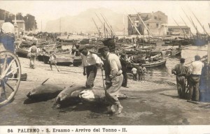 Quando Sant'Erasmo era un porto"vivo". Sbarcano i tonni: saranno cucinati a palermo in mille modi