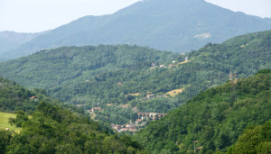 Passo dei Giovi (Genova, Liguria): boschi a perdita d'occhio sugli appennini :il verdene mondo nofa che crescere. L'umanit àloammira e lotiened'occhio ben più di quanto non lo distrugga.Pianidirimboschimentoovunque: Europa, Asia, Africa eanche in Amazzonia. Ma si vuol dire il contrario...