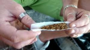 Preparre lo spinello. Giovani si atteggiano: ...lo sanno fare. Anni fa i poveri raccoglievano mozziconi e facevano altrettnto con la rapiditàdella luce... Era tabacco giàfumato,un po' amaro, ma meno dannoso d'uno spinello.