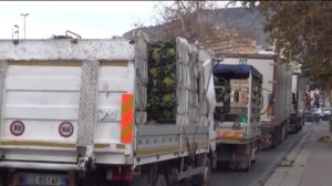 Tir uno dopo l'altro. fermi, sempre sopra e attorno il cavalcavia dell'Ucciardone. Anche questo dovrebbe essere trasferito e trasformato in altro (mercato del pesce?)