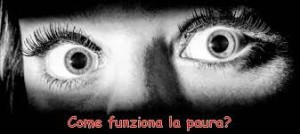 La paura è un istinto primordiale: un sentimento opportuno ma che unapaersoamatura deve asapre govenare. Lacultura el'intelligenza possono far molto...