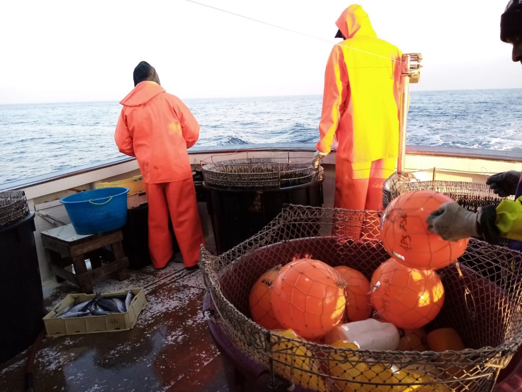 Pesca del palangaro